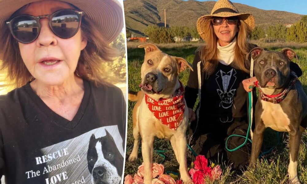 ‘Exorcist’ star Linda Blair speaks out after cops search home over reported 100-dog kennel operation