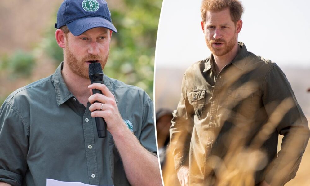 Prince Harry steps down from charity embroiled in human rights violations scandal
