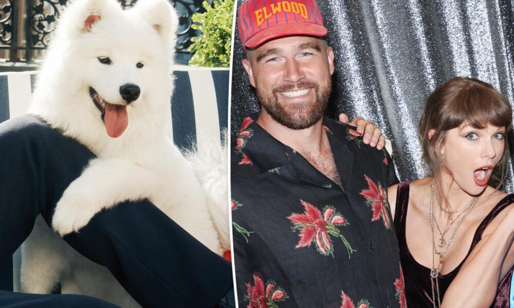 Taylor Swift and Travis Kelce’s dog’s name finally revealed