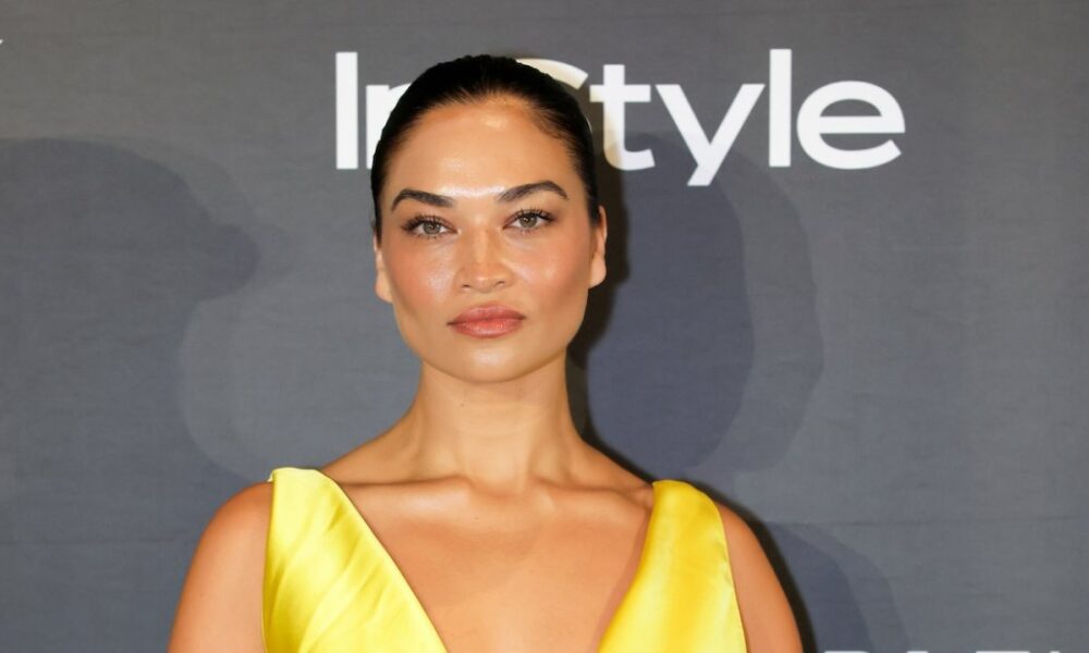 Supermodel Shanina Shaik Is Pregnant With Baby No. 2, Her 1st With Music Executive Ryan Press