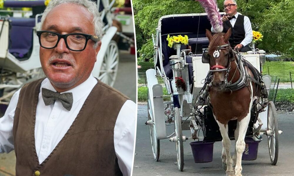 Carriage horse’s owners ready to sue Central Park over deadly yew poisoning