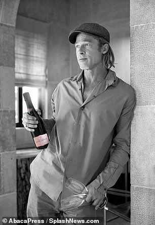 Pitt alleges that Jolie's sale to a 'Russian oligarch' would potentially tarnish the reputation of its highly regarded rosé